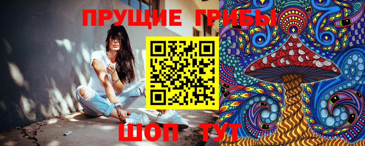 Псилоцибиновые грибы Cubensis  Вход с VPN  Котельники 